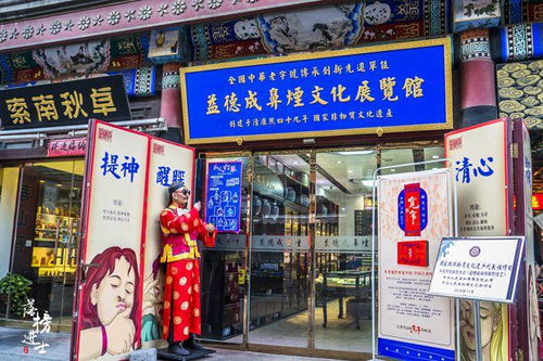 天津有我國唯一的五星級步行街,街上都是仿清建筑,門票免費(fèi)